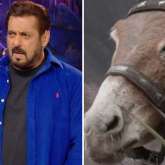 Bigg Boss 18: Gadharaj aka the donkey has been removed from the Salman Khan hosted show followed by PETA’s allegations