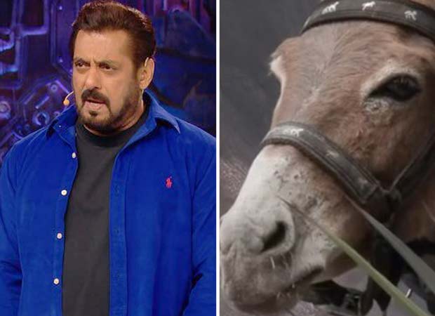 Bigg Boss 18: Gadharaj aka the donkey has been removed from the Salman Khan hosted show followed by PETA’s allegations