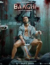 Baaghi 4