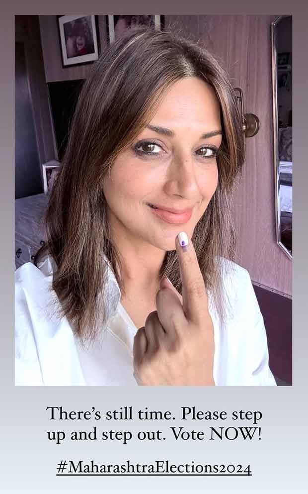 Voting Day 2024: Kartik Aaryan, Shraddha Kapoor, Raveena Tandon, and others drop social media posts after casting their votes