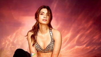 Celeb Photos Of Diana Penty