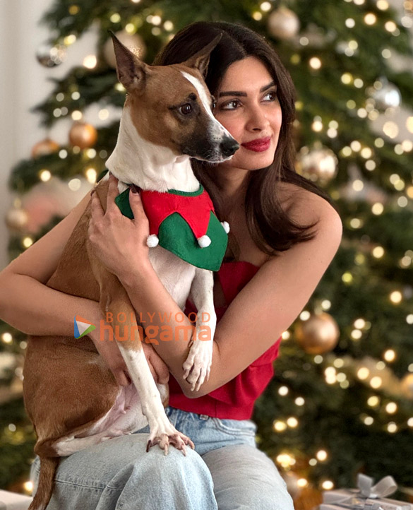 diana penty 4 54
