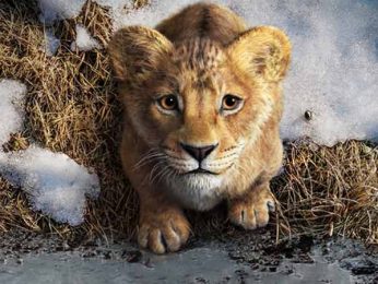 “He earned all of it”: Barry Jenkins on grounding Mufasa’s rise in The Lion King prequel “He earned all of it”: Barry Jenkins on grounding Mufasa’s rise in The Lion King prequel