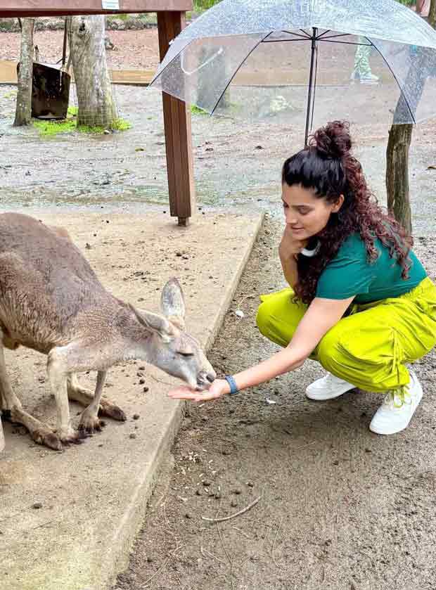 Saiyami Kher's Australian getaway: Watches India vs. Australia third test match with Sara Tendulkar, Kabir Khan, and others; holds a Koala and feeds Kangaroos and much more!