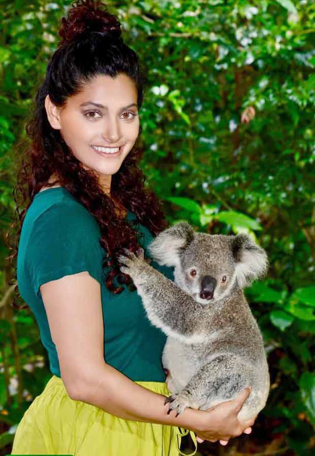 Saiyami Kher's Australian getaway: Watches India vs. Australia third test match with Sara Tendulkar, Kabir Khan, and others; holds a Koala and feeds Kangaroos and much more!