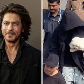 Shah Rukh Khan returns after a family vacation in Alibaug; his pet dog captures attention in viral videos