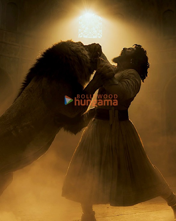 chhaava 15