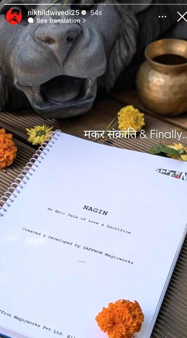 Saket Chaudhary to helm Nikhil Dwivedi's Nagin; producer shares update on film