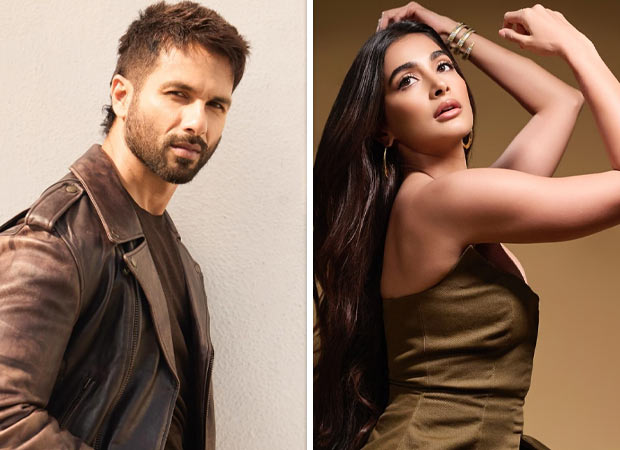 Shahid Kapoor commends Deva co-star Pooja Hegde for ‘making it on her own’; praises her dance moves 