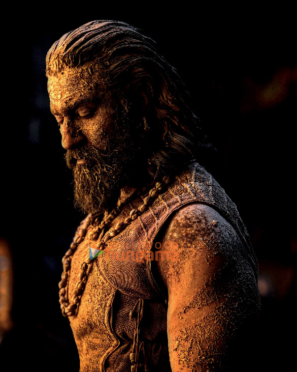 chhaava 2 13
