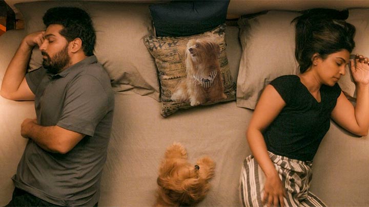 Dil Dosti Aur Dogs | Official Trailer | Feb 28 | Neena Gupta | Sharad Kelkar Dil Dosti Aur Dogs | Official Trailer | Feb 28 | Neena Gupta | Sharad Kelkar
