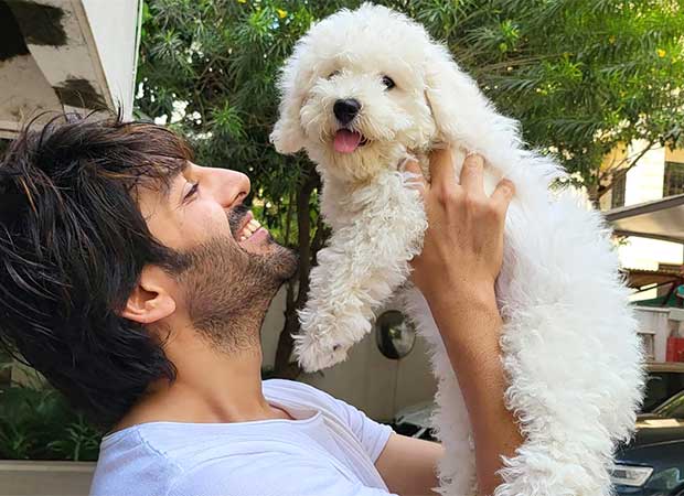 Kartik Aaryan melts hearts with his furry friend on Love Your Pet Day, watch