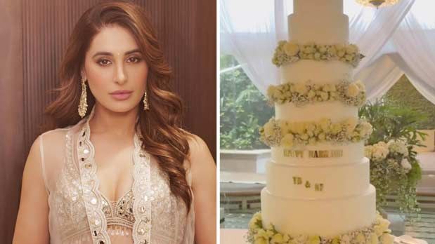 Nargis Fakhri ties the knot with beau Tony Beig in Los Angels? Wedding photos spark frenzy online