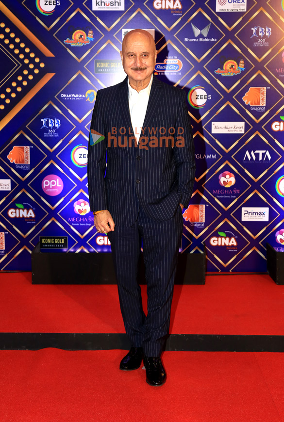 photos kartik aaryan nushrratt bharuccha adah sharma and others grace the iconic gold awards 2025 10