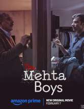 The Mehta Boys