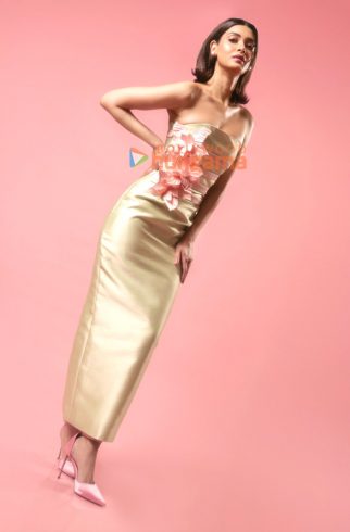 Diana Penty