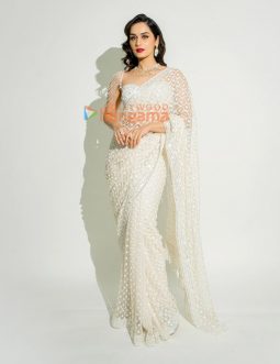 Manushi Chhillar