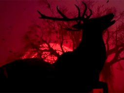 The Secret of Devkaali | Teaser | Niraj Chauhan | Sanjay Mishra | Mahesh Manjrekar | Zarina wahab