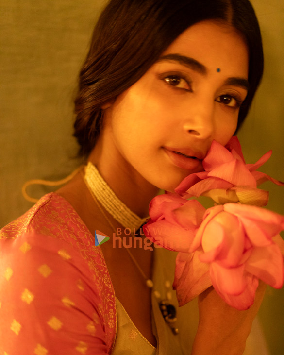 pooja hegde 8 24