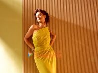 Meenakshi Chaudhary