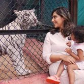 Ram Charan and Upasana Kamineni Konidela's daughter Klin Kaara meets her namesake Tigress on second birthday in Hyderabad Zoo