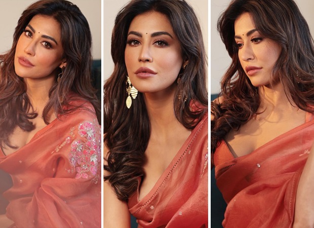 Chitrangda Singh stuns in Rs 48,800 rust orange organza saree adorned with sequin bootis and floral appliqué