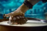 Gunmaaster G9 | Title Announcement | Aparshakti as Desu | Aditya Datt | Himesh Reshammiya | Deepak Mukut, Hunar Mukut
