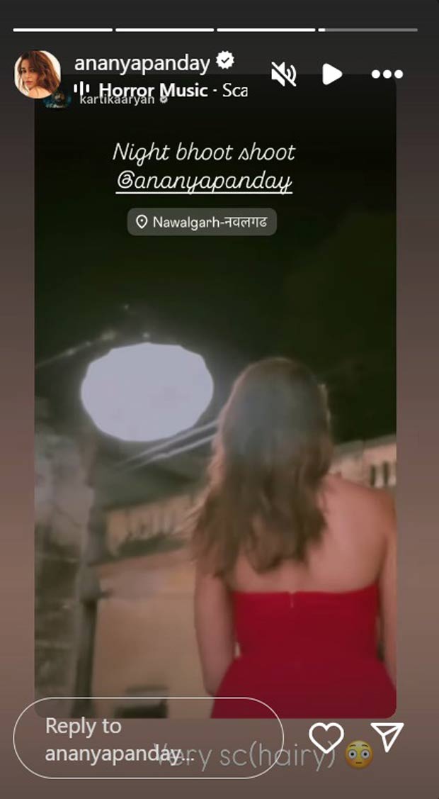 Kartik Aaryan drops dreamy pics from Rajasthan shoot of Tu Meri Main Tera Main Tera Tu Meri