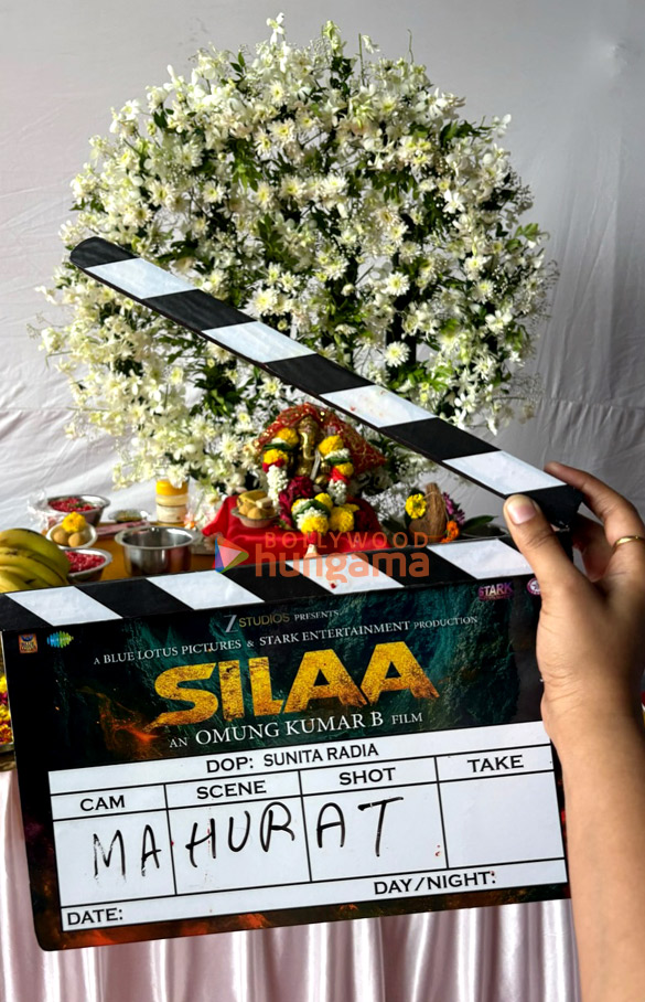 silaa 8