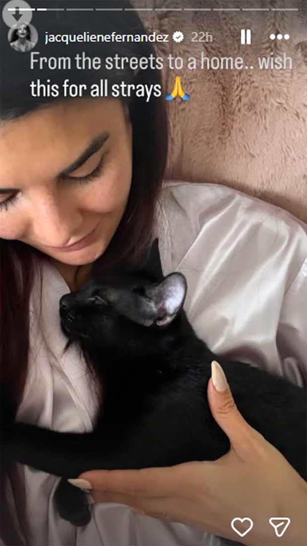 Jacqueline Fernandez adopts stray cat “Wish this for all”