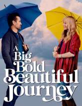 A Big Bold Beautiful Journey (English)