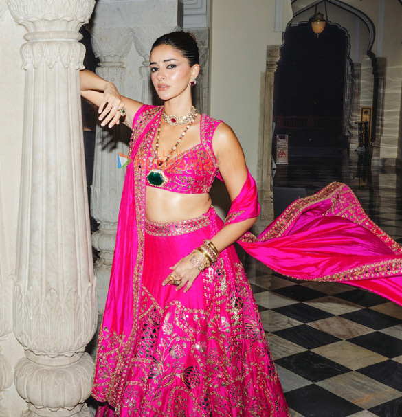ananya panday 2 383