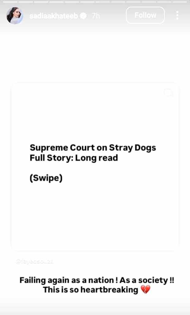 Sadia Khateeb questions Supreme Court’s stray dog relocation order: “Who is giving them this right?”