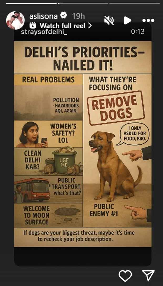 Bollywood star joins chorus of voices condemning harsh measures against street dogs while raising concerns over pressing civic issues ignored by authorities.