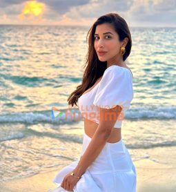 Sophie Choudry