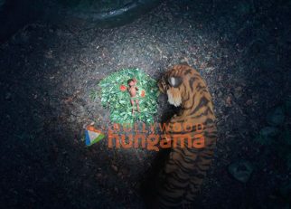 Kantara A Legend Chapter - 1 stills