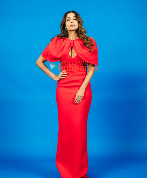 malaika arora 6 116