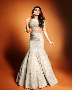 Nidhhi Agerwal