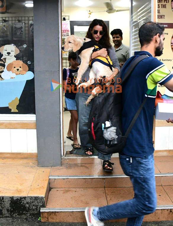 photos triptii dimri spotted outside pet clinic in bandra 6