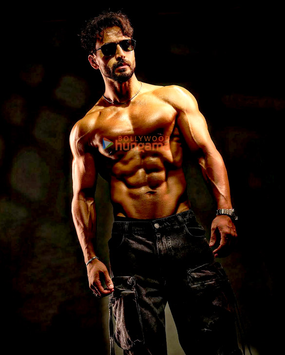 tiger shroff 4 81