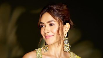 Celeb Photos Of Mrunal Thakur
