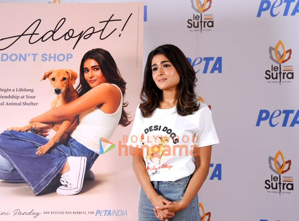 Photos: Shalini Pandey snapped at PETA India’s pro-adoption campaign Photos: Shalini Pandey snapped at PETA India’s pro-adoption campaign
