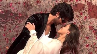 O’Romeo Jodi dancing gracefully! Shahid Kapoor & Triptii Dimri