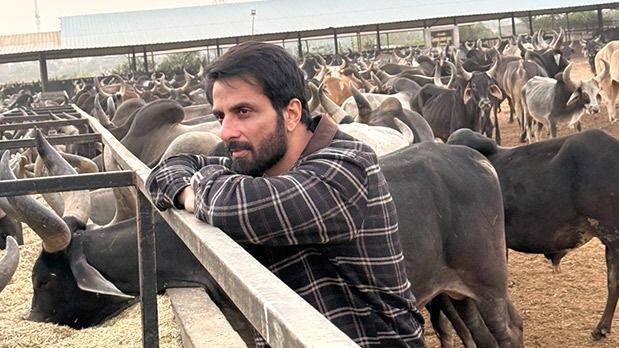 Sonu Sood donates Rs 22 lakhs to cow shelter in Gujarat