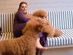 Huma Qureshi with her doggos