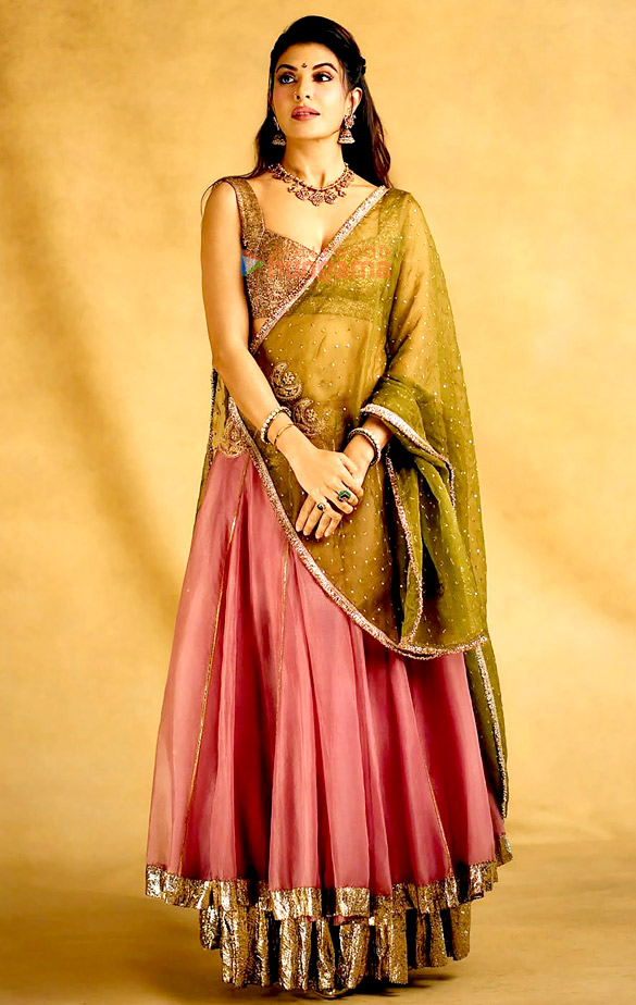 jacqueline fernandez 6 48