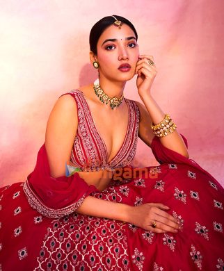 Celeb Photos Of Medha Shankr