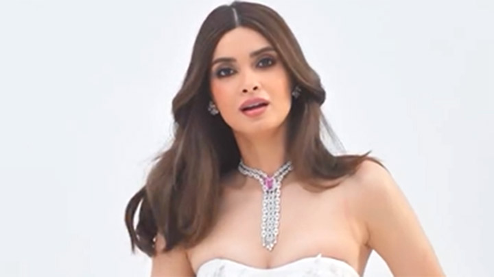 Princess Energy! Diana Penty