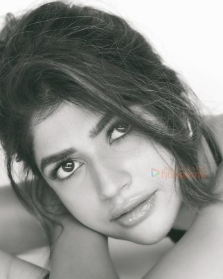 Anjini Dhawan