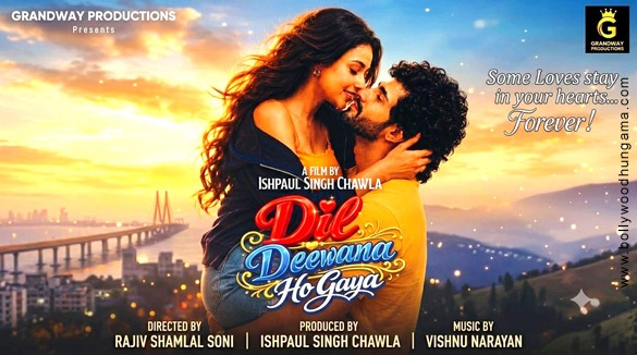 dil deewana ho gaya 21